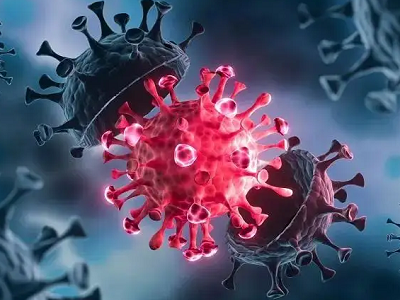 Test rapide de l'antigène: variante du virus de la corona! 