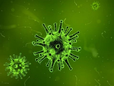 Antigène rapide ITU APA: caractéristiques du virus
