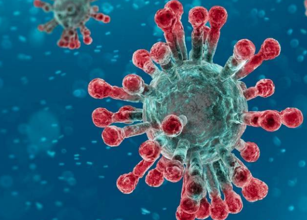 Nouveau développement de vaccin contre le coronavirus